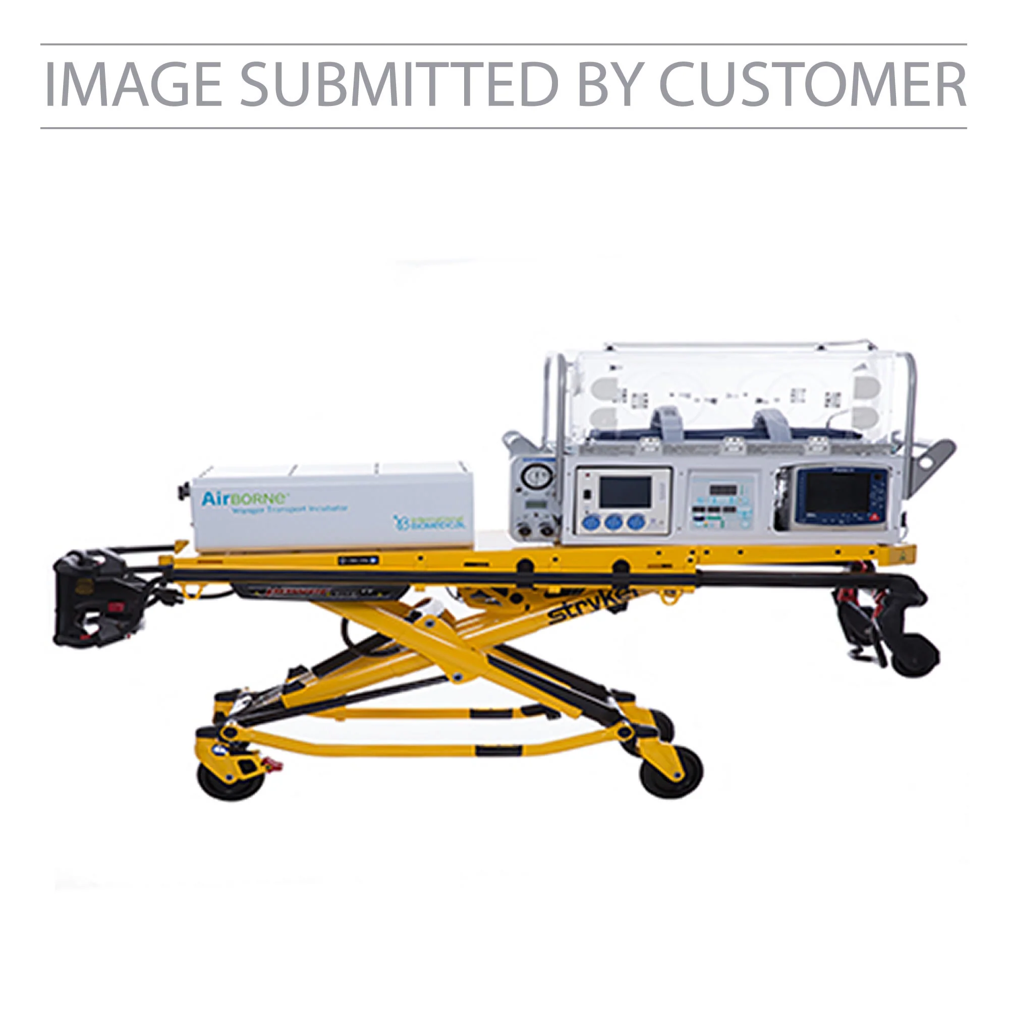 Transport Incubator Custom Pinata - Image 2